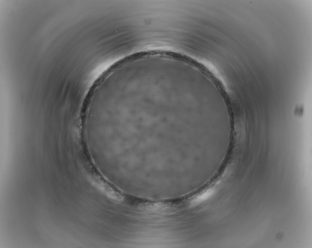 X0000092030879200709061612