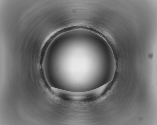 X0000092030880200709061612