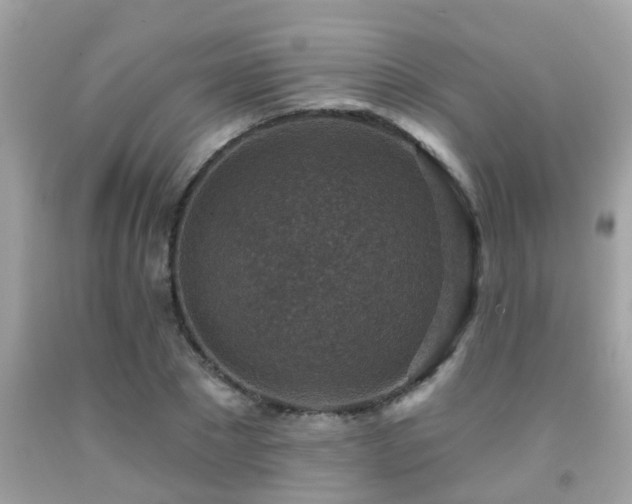 X0000092030881200709061612