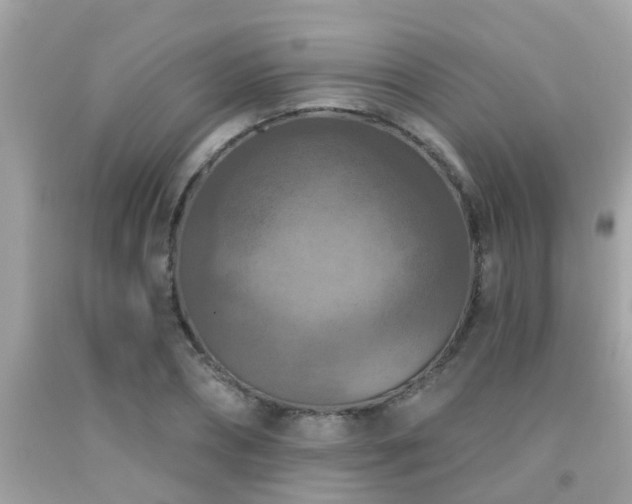X0000092030882200709061612