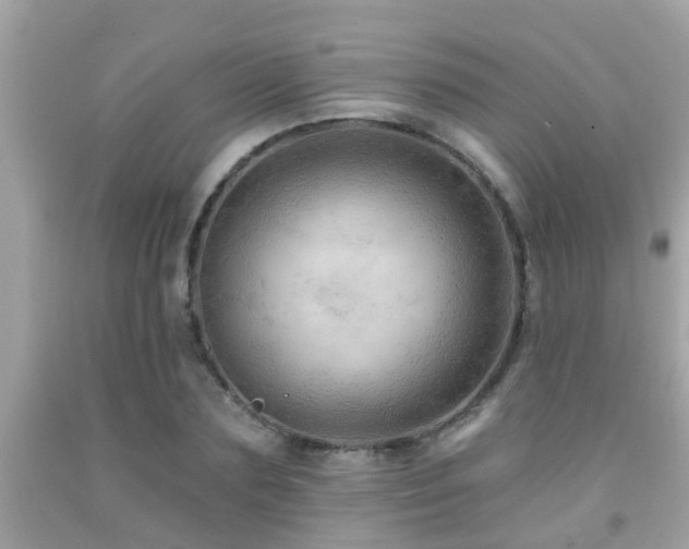 X0000092030883200709061612