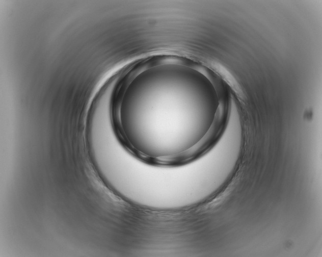 X0000092030884200709061612
