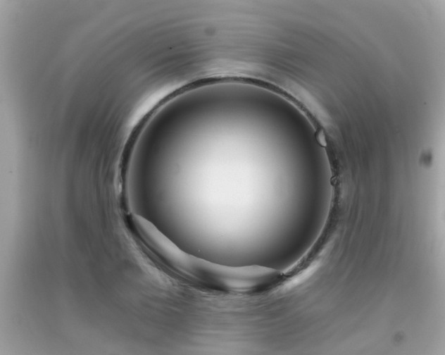 X0000092030885200709061612