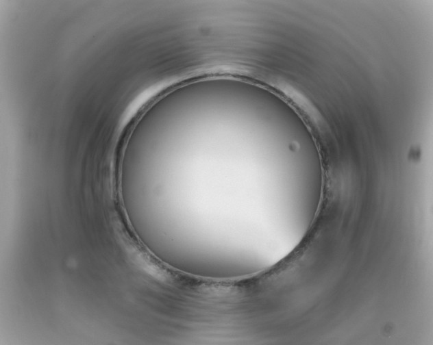 X0000092030886200709061612