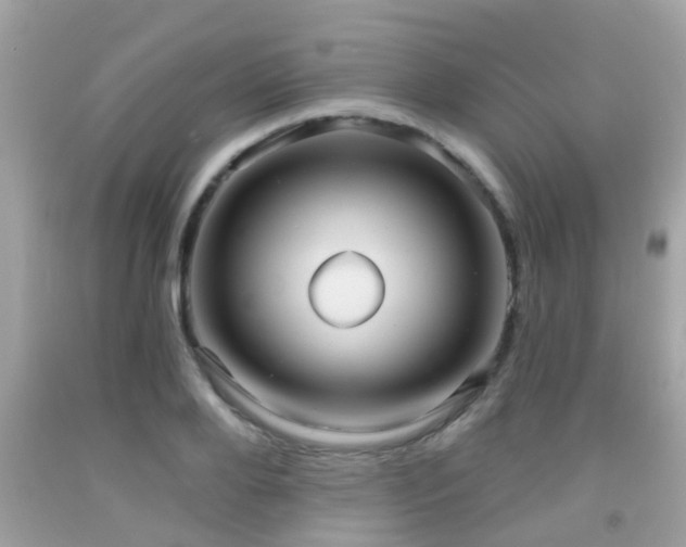 X0000092030888200709061612