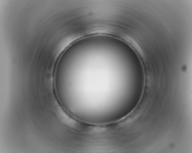 X0000092030890200709061612