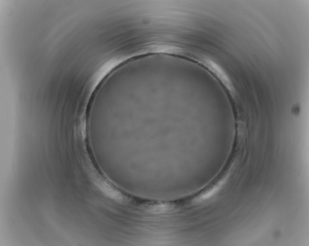 X0000092030891200709061612
