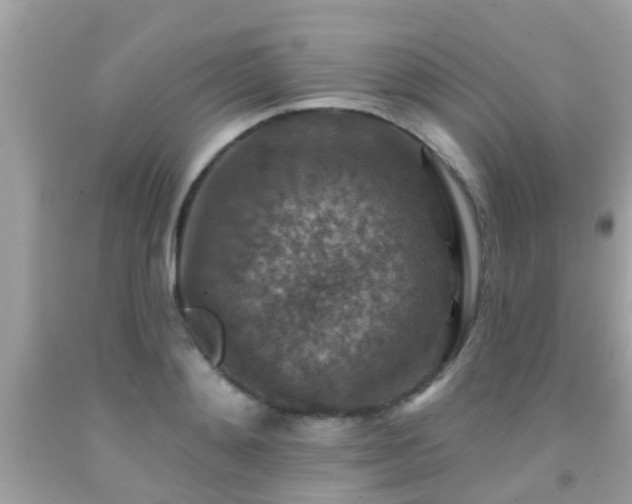 X0000092030892200709061612