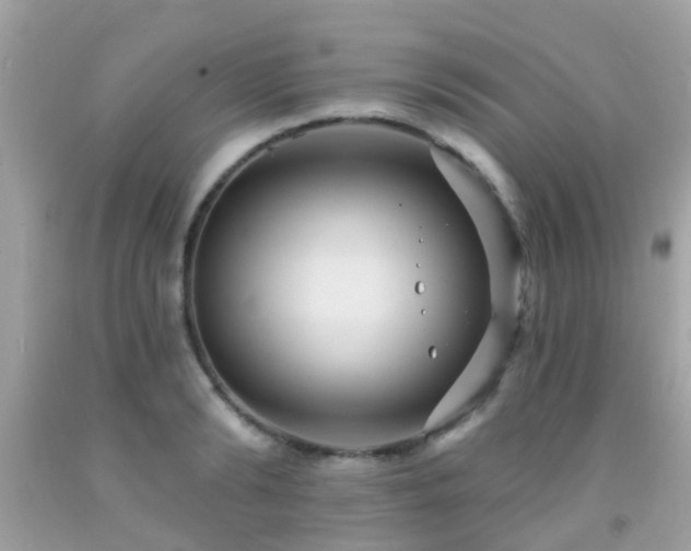X0000092030894200709061612