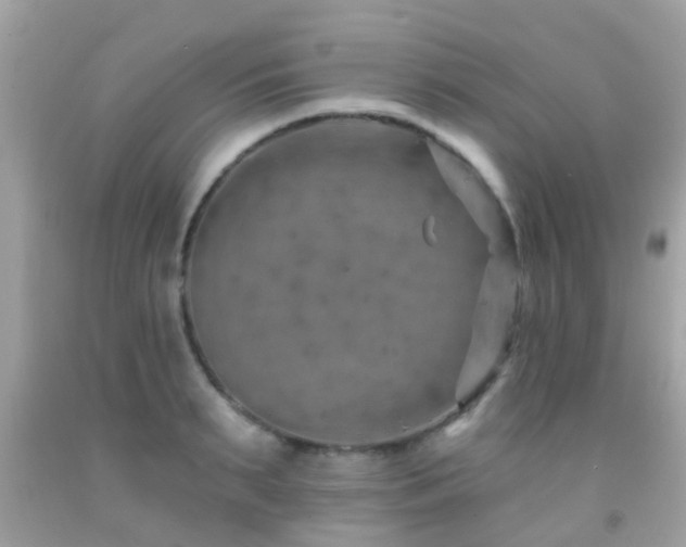 X0000092030895200709061612