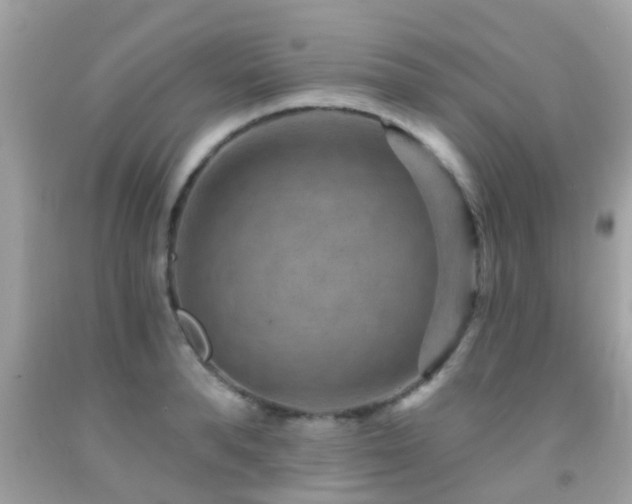 X0000092030896200709061612