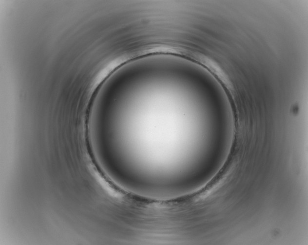 X0000092030898200709061612
