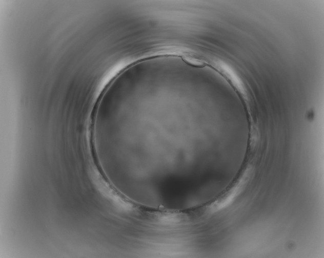 X0000092030899200709061612