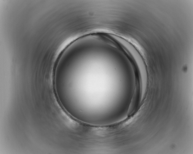 X0000092030902200709061612