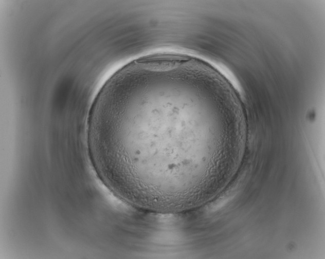 X0000092030903200709061612