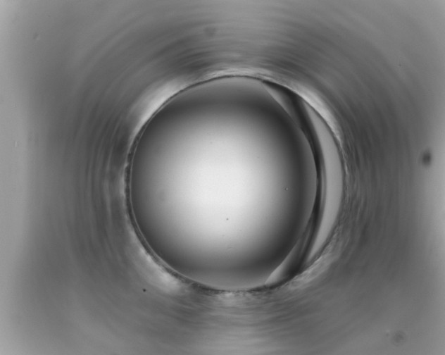 X0000092030906200709061612