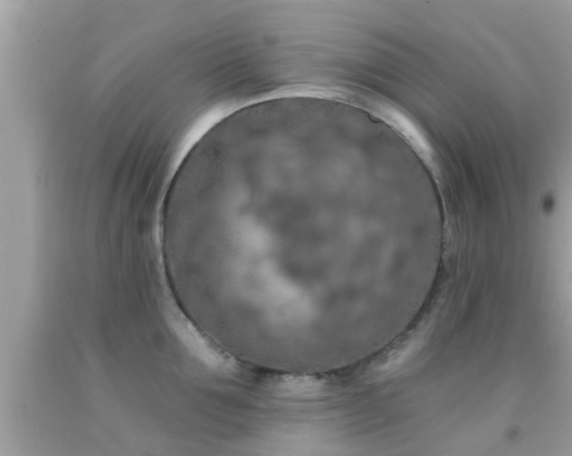 X0000092030907200709061612