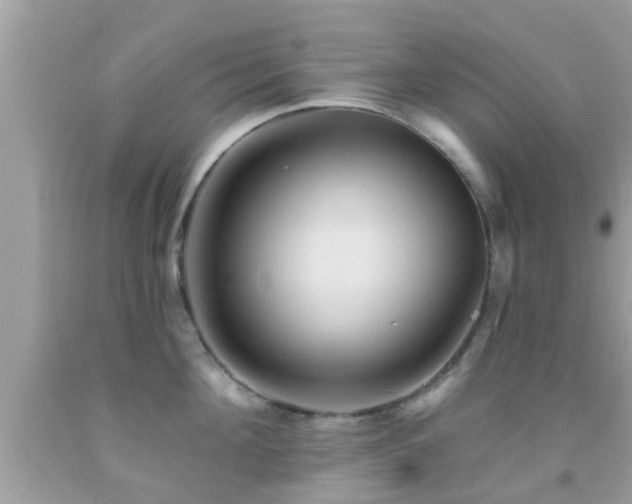 X0000092030908200709061612