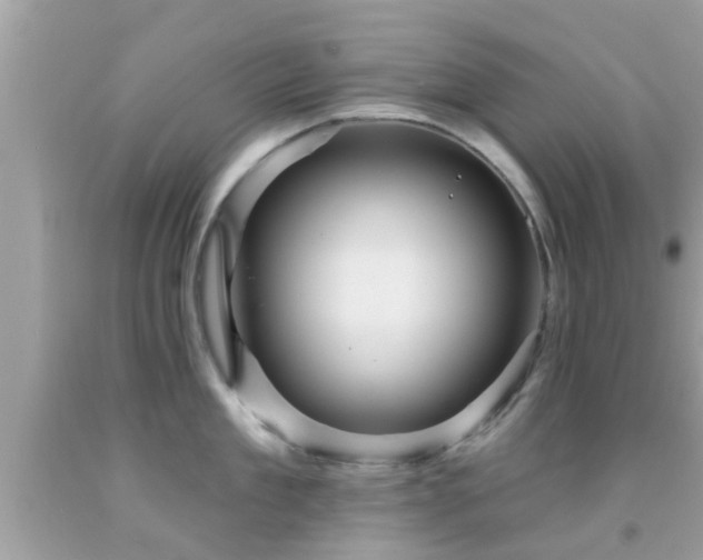 X0000092030909200709061612
