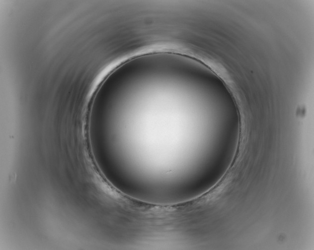 X0000092030912200709061612
