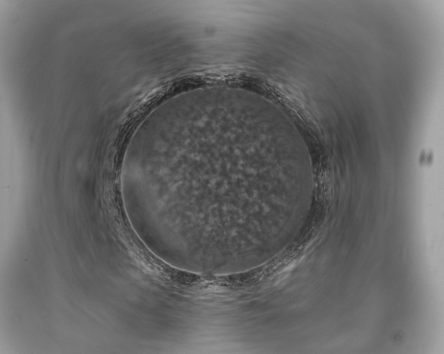 X0000092030913200709061611