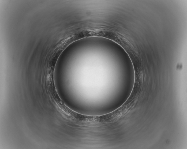 X0000092030914200709061611