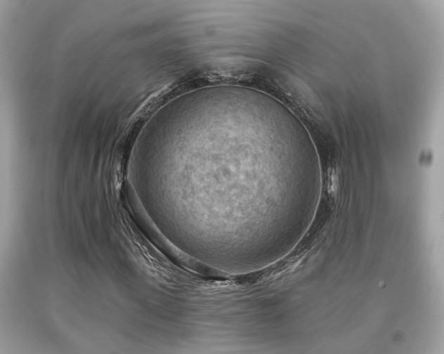 X0000092030915200709061611