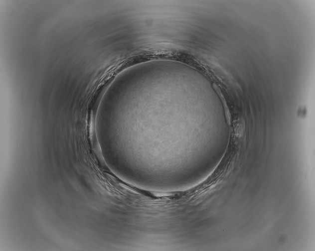 X0000092030916200709061611