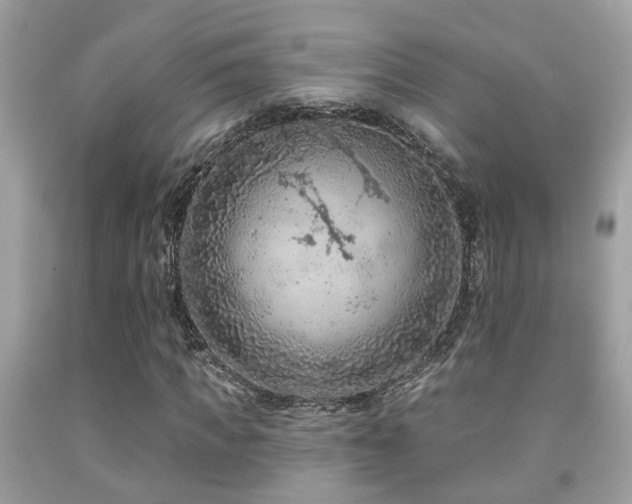 X0000092030917200709061611