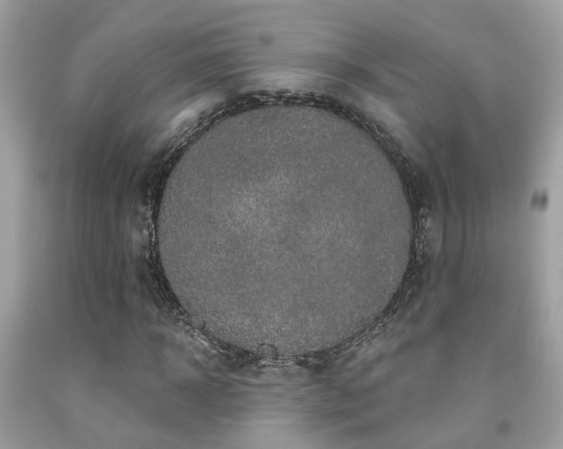 X0000092030918200709061611