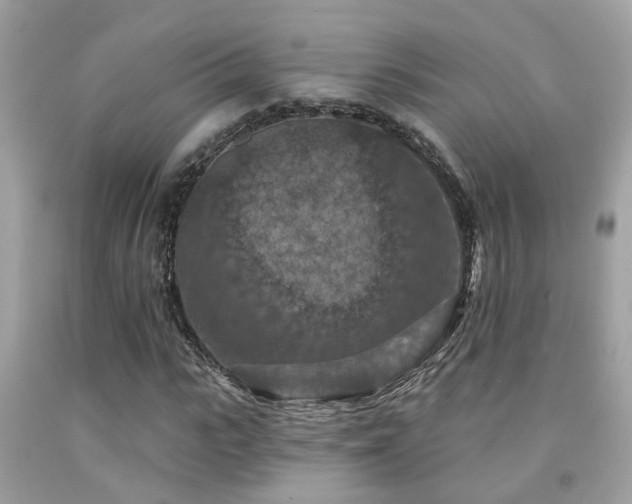 X0000092030919200709061611