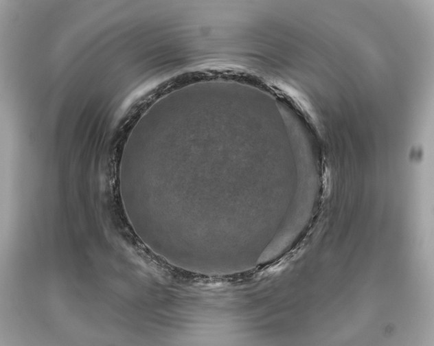 X0000092030920200709061611
