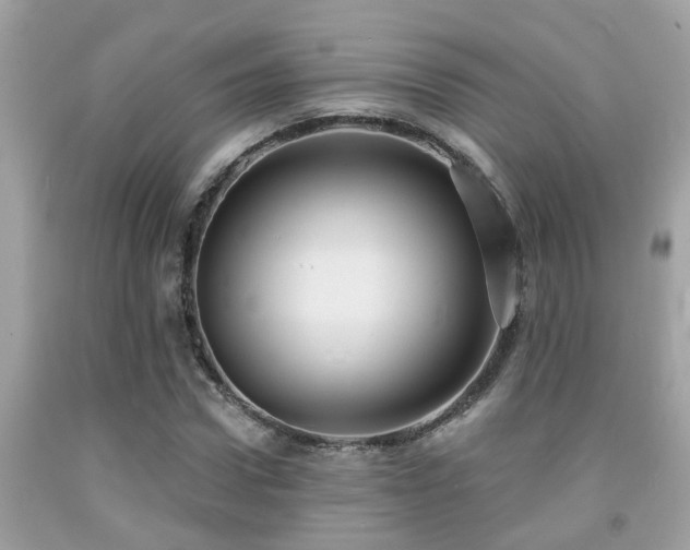 X0000092030922200709061611