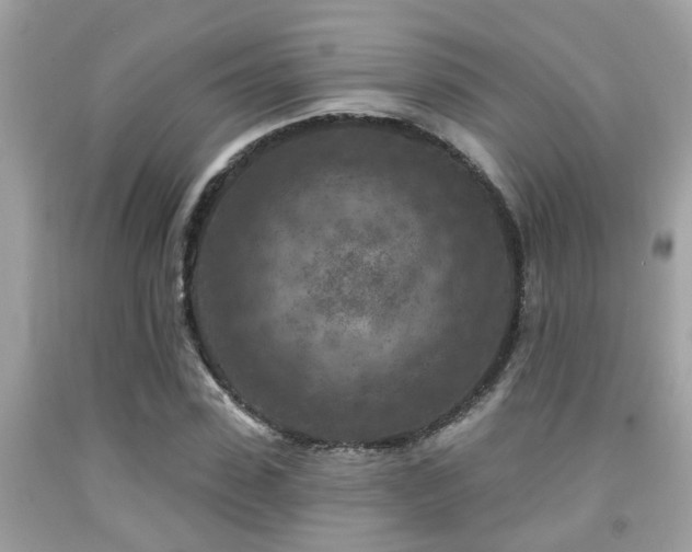 X0000092030923200709061611