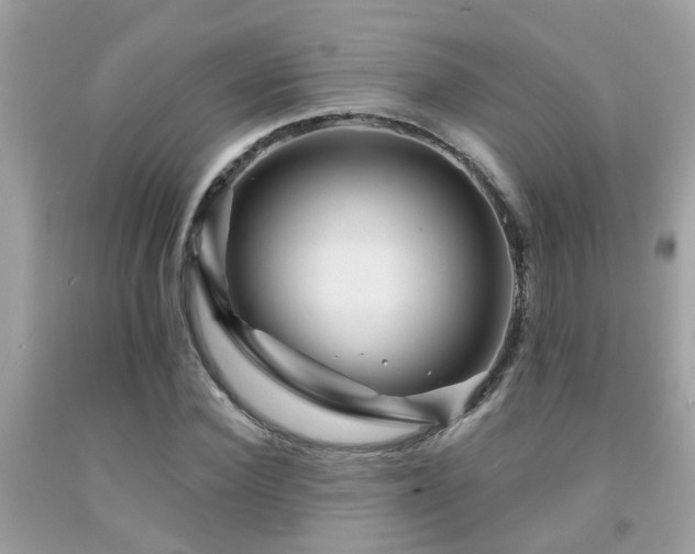 X0000092030924200709061611