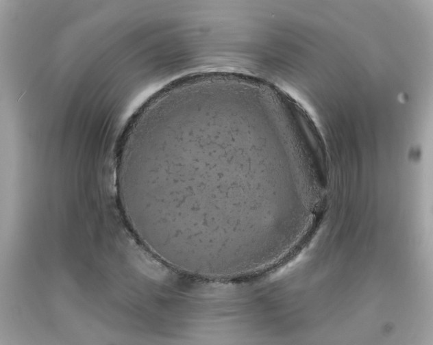 X0000092030925200709061611