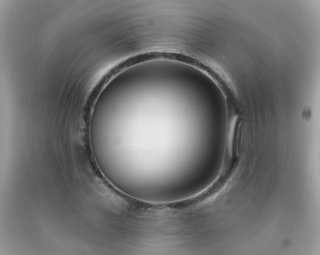 X0000092030926200709061611