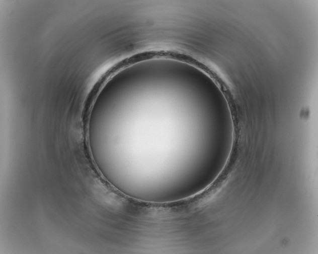 X0000092030927200709061611