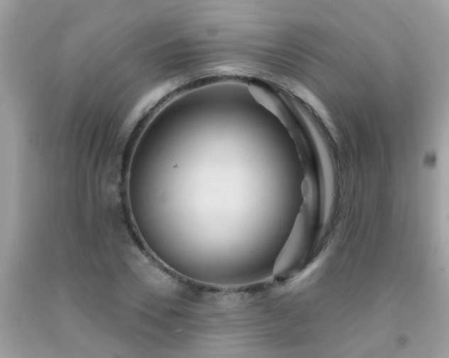 X0000092030930200709061611