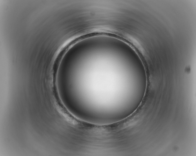 X0000092030931200709061611