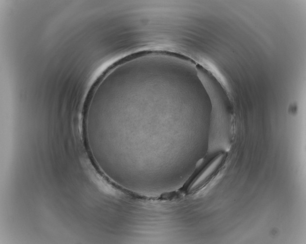 X0000092030932200709061611