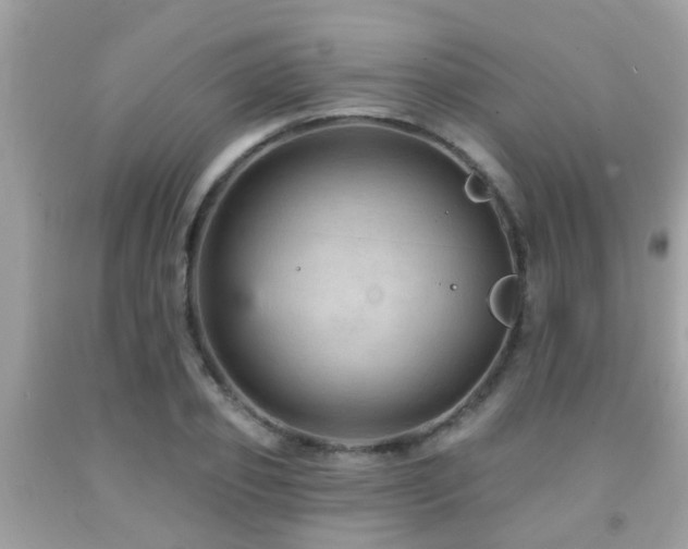 X0000092030933200709061611