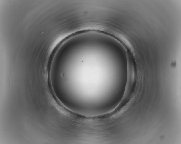 X0000092030936200709061611
