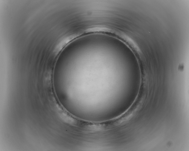 X0000092030937200709061611