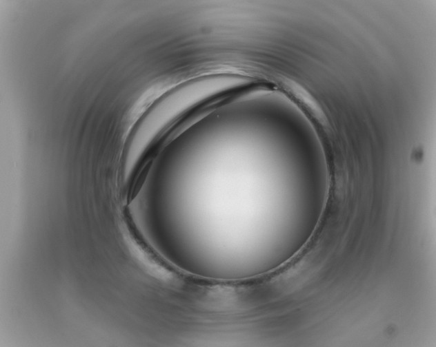 X0000092030938200709061611