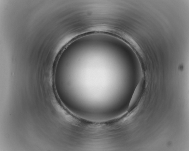 X0000092030939200709061611