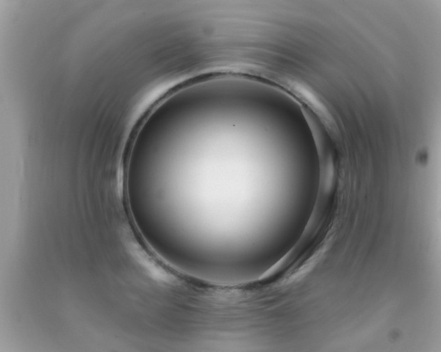 X0000092030940200709061611