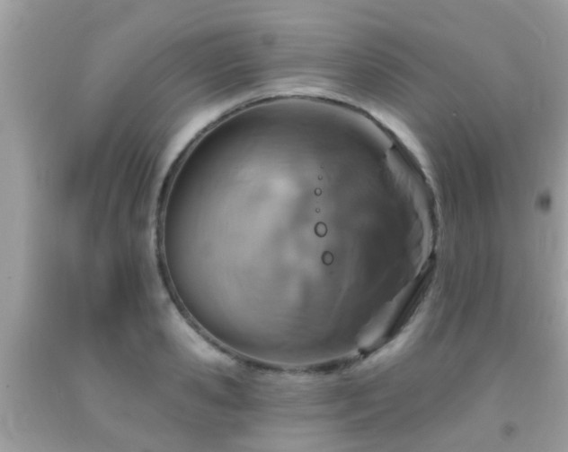 X0000092030941200709061611
