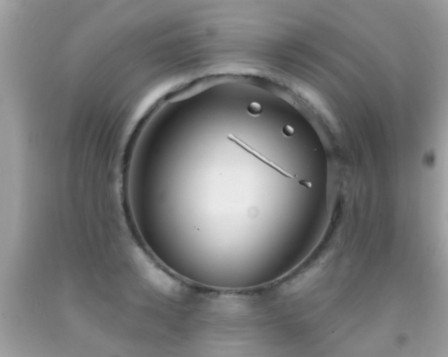 X0000092030942200709061611