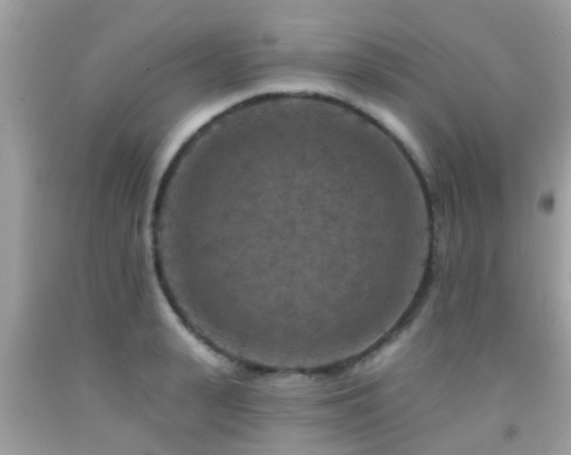 X0000092030943200709061611